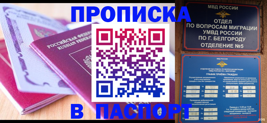 временная регистрация законно в Никольском